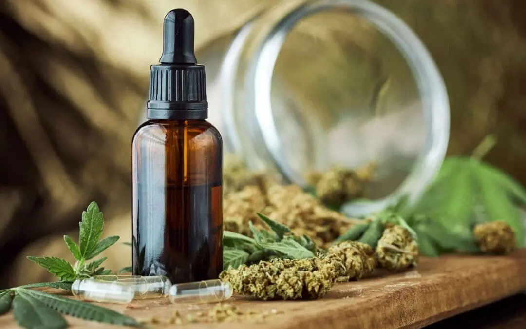 Vegan CBD Products: What You Need to Know