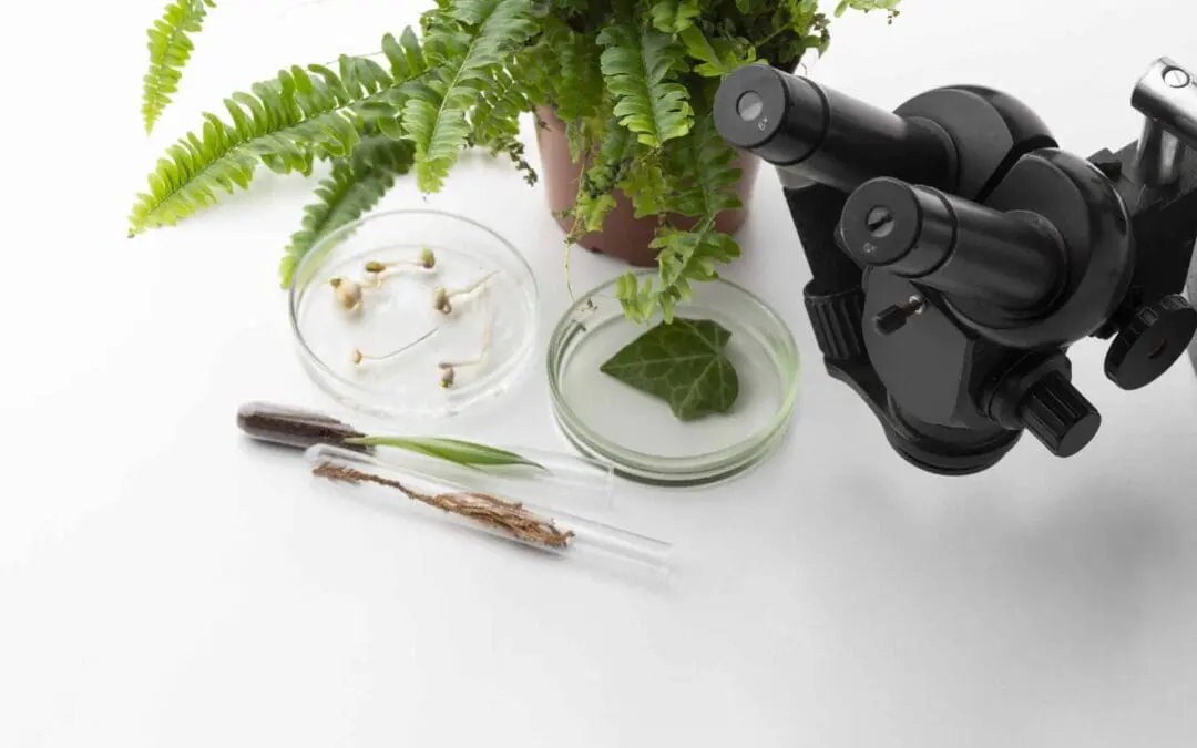 All About CBD, CBG and CBN: What It Is, What It Isn’t, and How To Use It