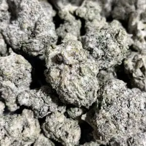 THCA Hemp Flower Snow Caps