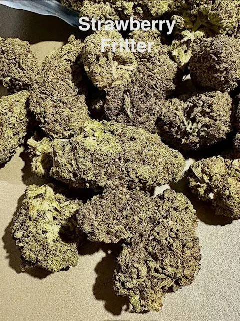 Buds of Strawberry Fritter delta 8 hemp flower