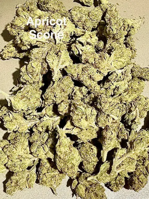 Buds of Apricot Scone THCA flower