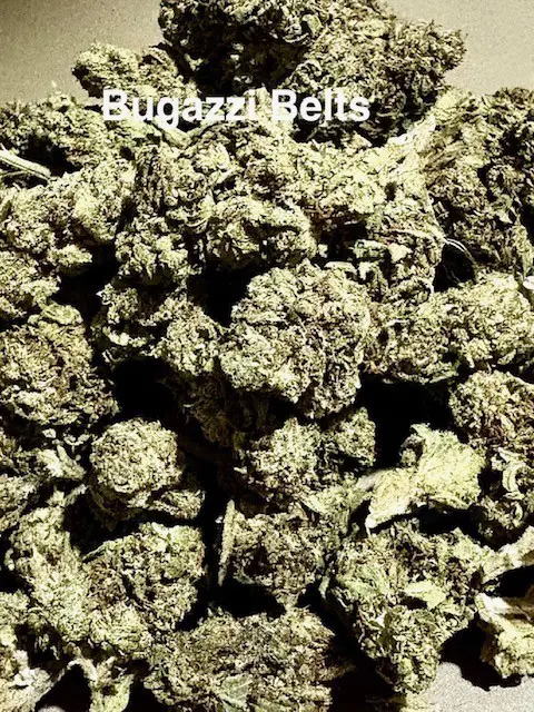 Buds of Bugazzi Belts THCA hemp flower