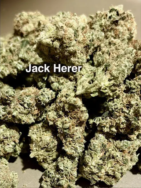 Buds of Jack Herer THCA hemp flower