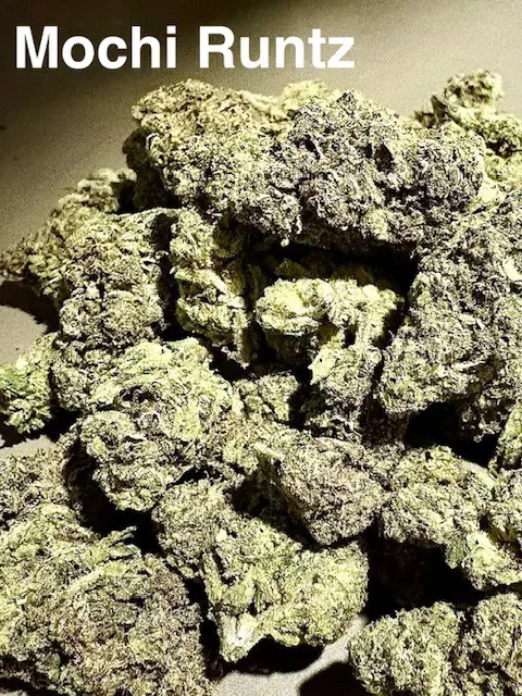 Buds of Mochi Runtz THCA hemp flower