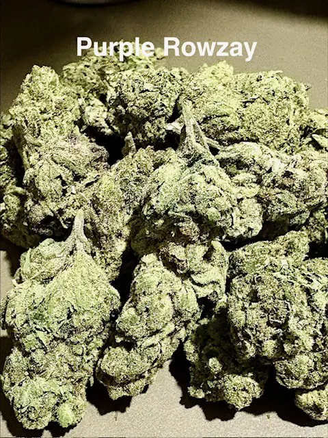 Buds of Purple Rowzay THCA hemp flower