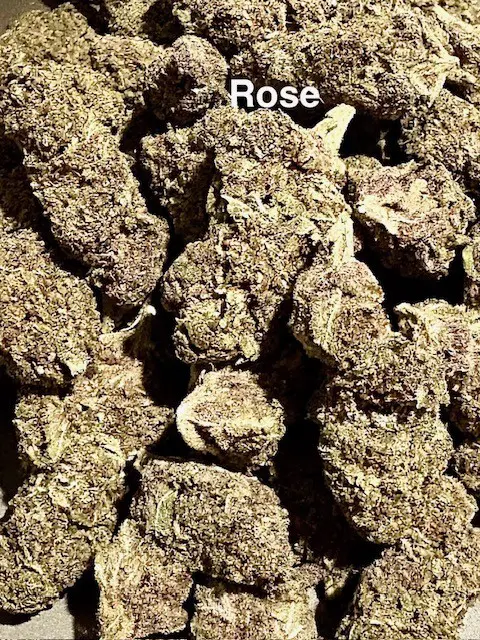 Buds of Rose THCA hemp flower