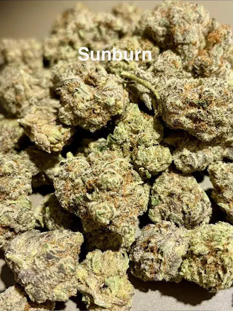 Buds of Sunburn THCA hemp flower