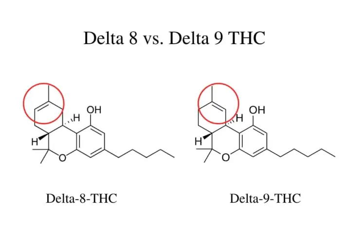 graphic showing the chemical structure of delta 8 THC and delta 9 THC