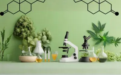 How to Read a CBD Certificate of Analysis (COA) and Why It Matters