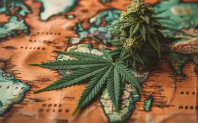 How to Travel with Hemp Legally: Cannabis Travel Tips, Flying with CBD & Airport THC Rules